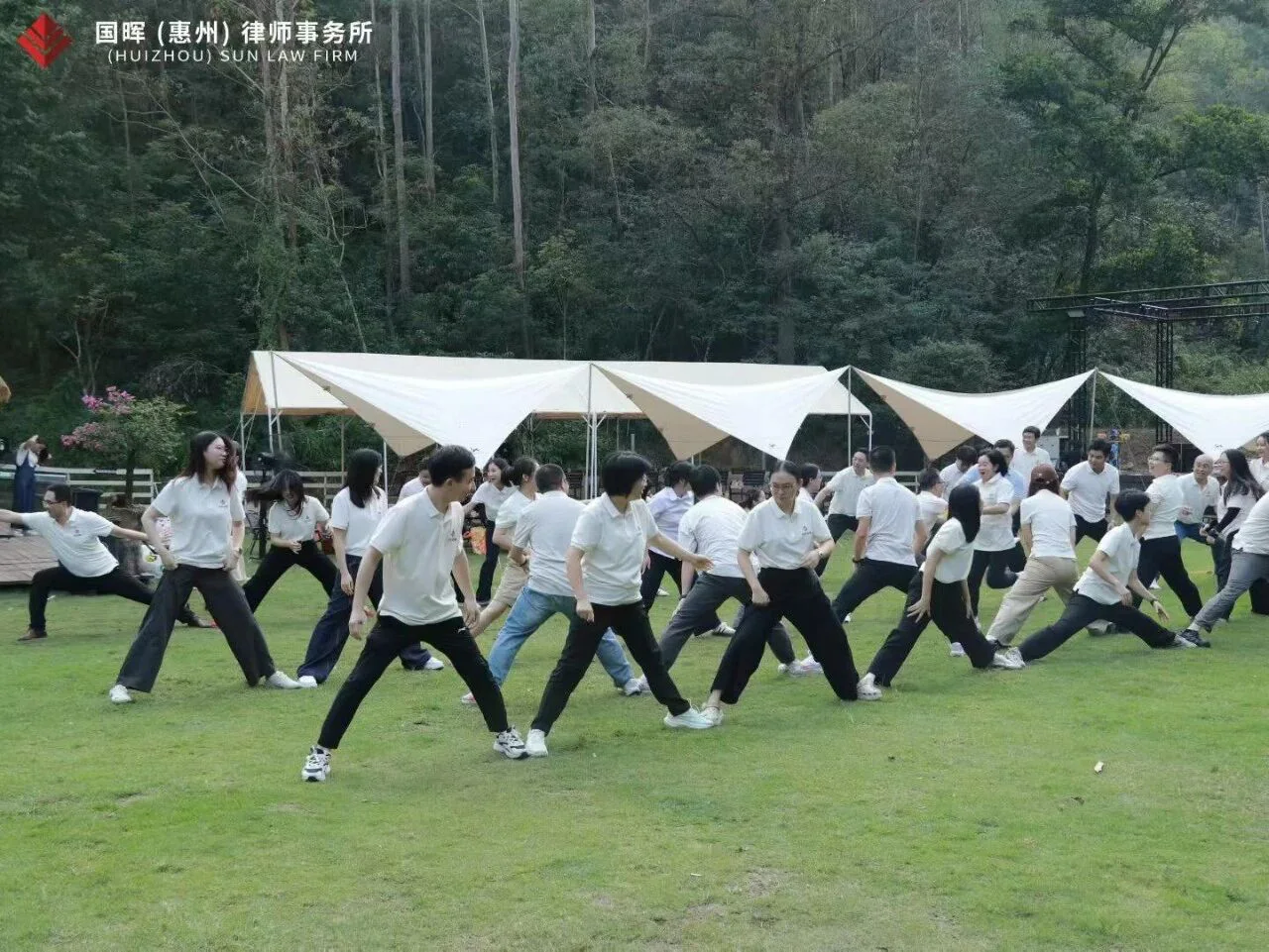 案例图片